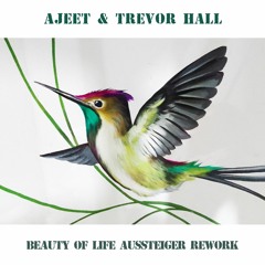Ajeet & Trevor Hall - Akaal - Beauty of Life Aussteiger Rework