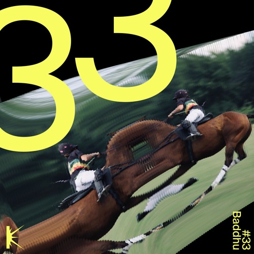 KLUSTERKAST_33 | Baddhu