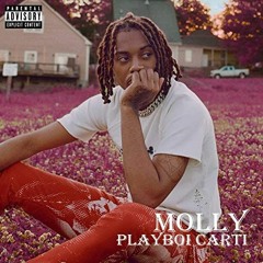 playboi carti - molly (sped up)