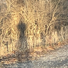 Long enough (Buschoji remix)