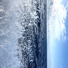 KMAL SECHELIM (Sheldon)