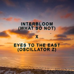 HW/BP/Coreo- Interbloom (What So Not) X Eyes To The East (Remix)