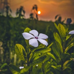 Do You Want Me There Beside You