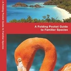 [ACCESS] [EPUB KINDLE PDF EBOOK] Caribbean Birds: A Folding Pocket Guide to Familiar