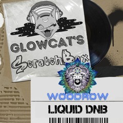 Scratchbox Ep 24: Woodrow (Liquid Drum & Bass)