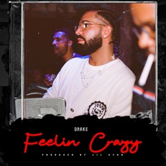 Drake "Feeling Crazy" Instrumental | Drake Sample Type Beat 2023 | Prod By. Lil Cyko