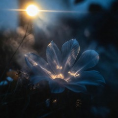 main menu theme game 2