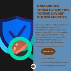 Unmasking Threats - Top Tips To Find OWASP Vulnerabilities