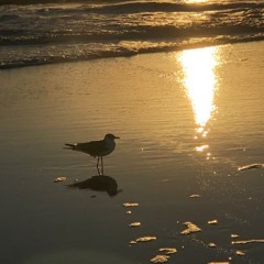 நான் பிழை (Naan Pizhai) (Cover)