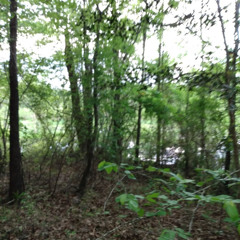 i don't know why i still try