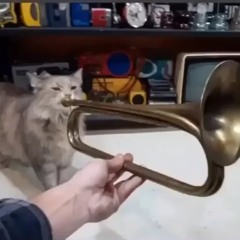「Fukashigi no Carte」[TRUMPET Ver]