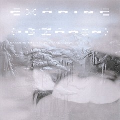 examine-mix-113-w-staana-2025-05-05
