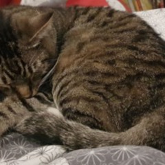 The Night the Lights Went Out in Berlin