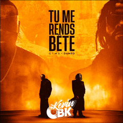 Gims & Damso - Tu Me Rends Bête (Kevin BK Redrum)