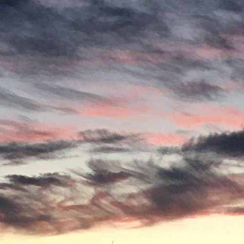 MusiciansSuck (and I Can Tell You Why)