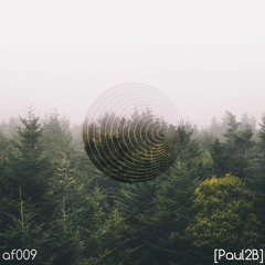AF009 Paul2B