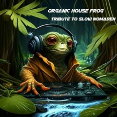 Organic House Frog 2024