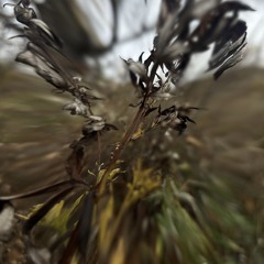 TCTRN EP01 on Etikett Radio