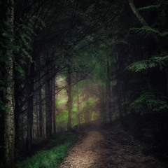 The Ghost of Laura Lee