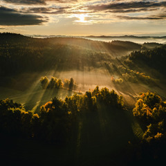 Sunday Morning