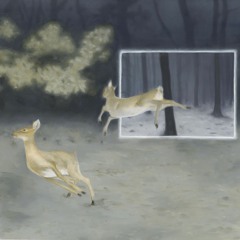 Where Da Bugs At? [Road Trip]