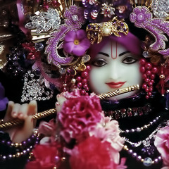 Sri Vraja Dhama Mahimamrta