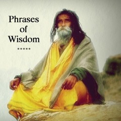 Phrases of Wisdom Sample Pack Demo (T.D. Samples)