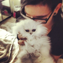 𝐋𝐎𝐍𝐆𝐃𝐑𝐈𝐕𝐄⋆༺𓆩☠︎︎𓆪༻⋆▀▄▀▄▀▄