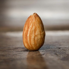 Rinsetek x Pangifrani - Half an Almond