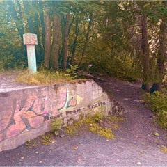 Trails
