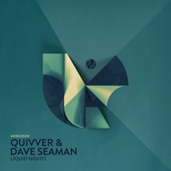 Quivver & Dave Seaman - Liquid Nights