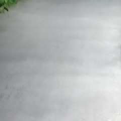 vạn sự tùy ý remix