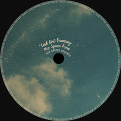 PREMIERE: Neo Space Krew - Lost but Dancing