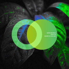 Baris Bayrak, Kostyn - House Is Calling (Original Mix)