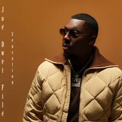 Joé Dwèt Filé Sensation