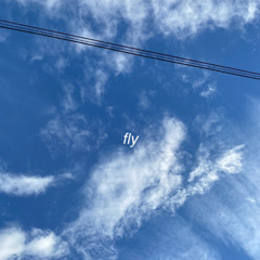 fly ft yung fazo
