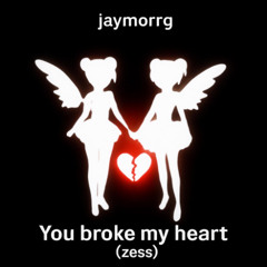 You Broke My Heart (Zess)