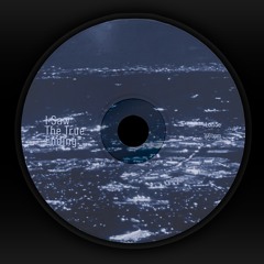 I Saw The True Ending