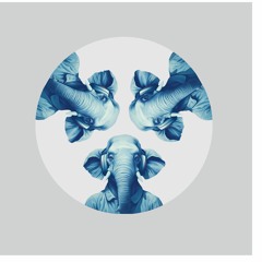 01.Elephants In A Room - Five