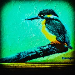 # 73 GERÄUSCHESAFT by HEDU NIST @ BOXXohnetelefonhörerstecker_01.07.2023.wav