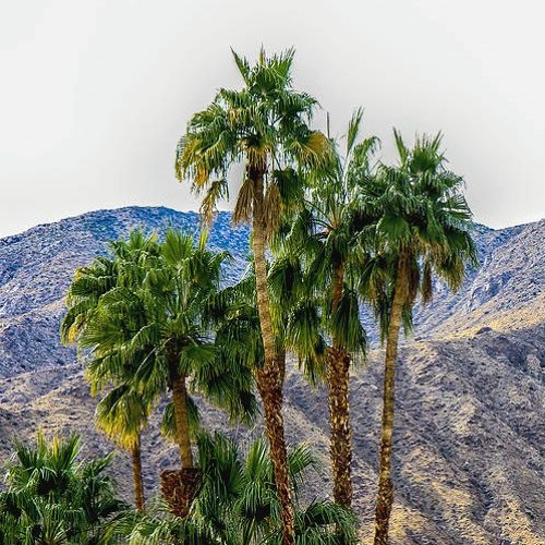 Stream Dispatch The General Cover By Austin Linnell Listen Online