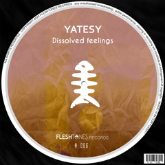 Yatesy - Electrical fault (Preview )