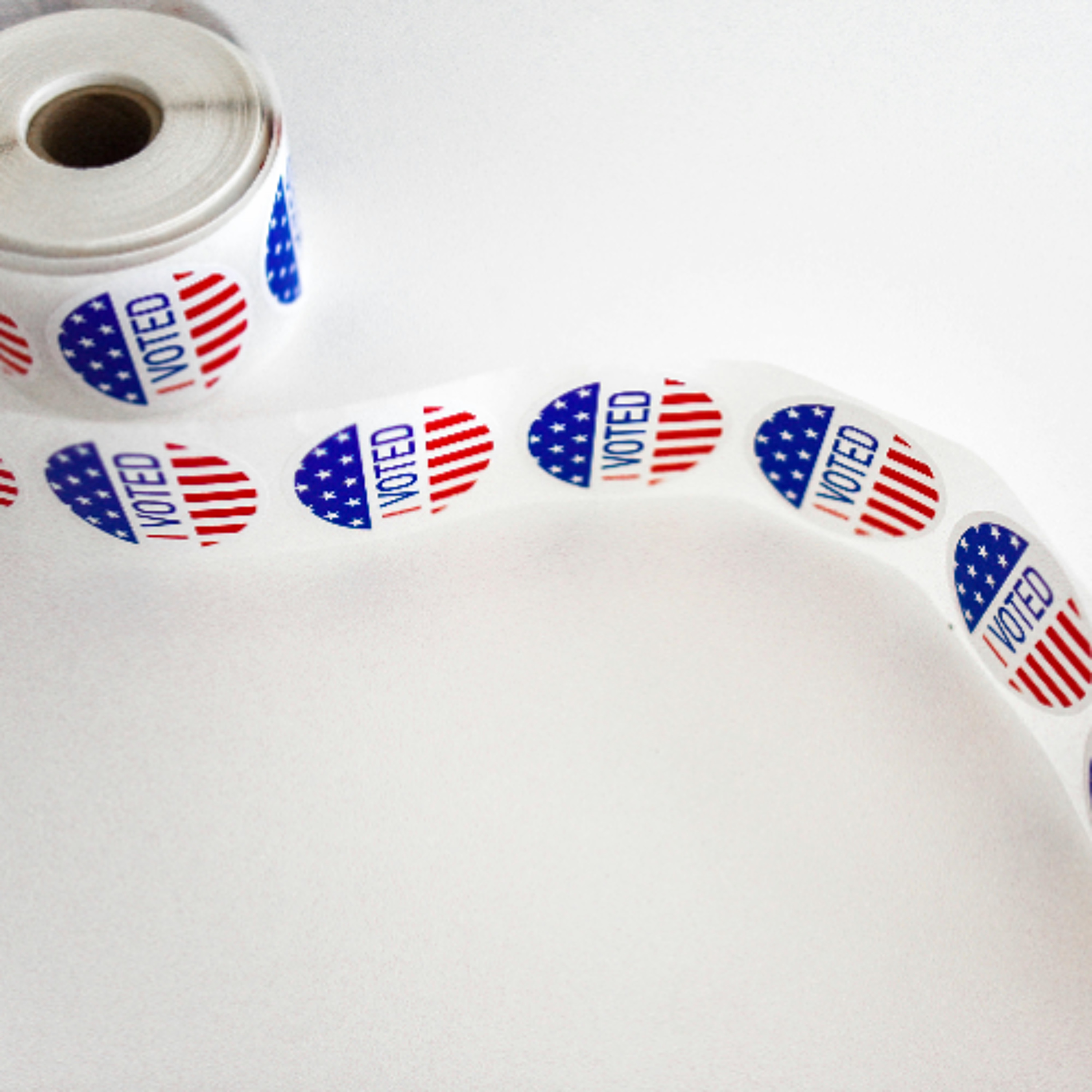 Union Endorsed Candidates Win Big