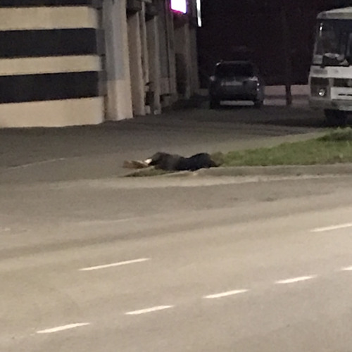 Jduesh - на часах не 5 часов