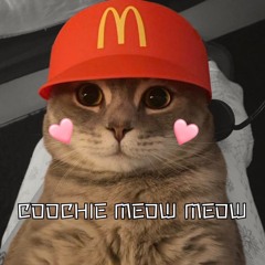 Coochie meow meow Prod.Jw Proð