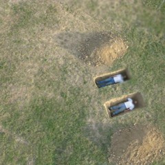 emotionally intellectual