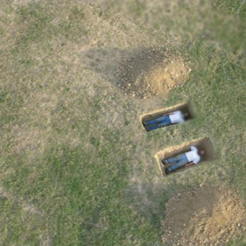 emotionally intellectual