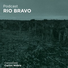 Podcast 698 – Carlos Nobre: “A ciência mundial está muito preocupada com o destino da Amazônia”