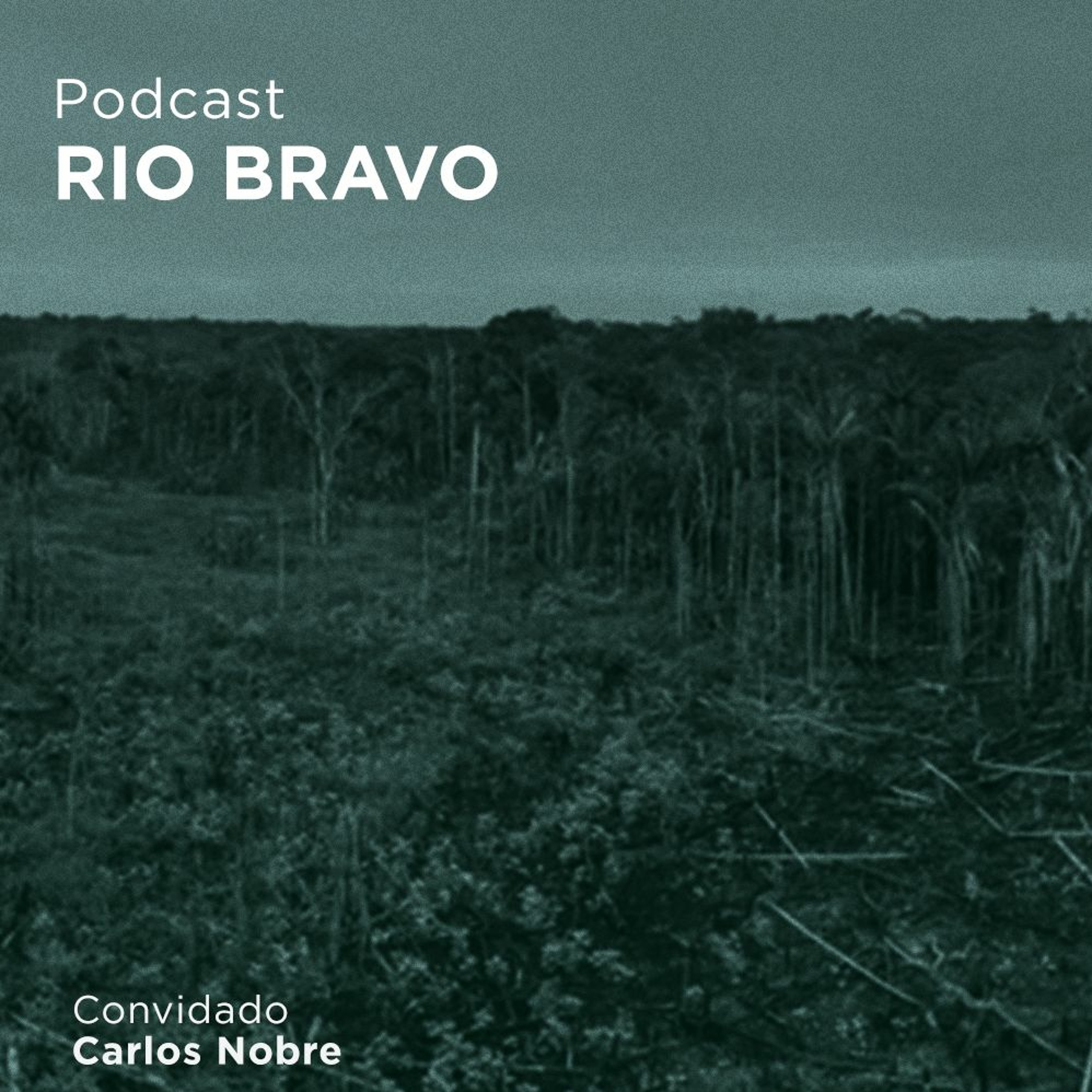 Podcast 698 – Carlos Nobre: “A ciência mundial está muito preocupada com o destino da Amazônia” episode artwork