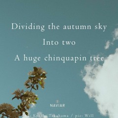 Dividing The Autumn Sky  ( Naviarhaiku 489 )